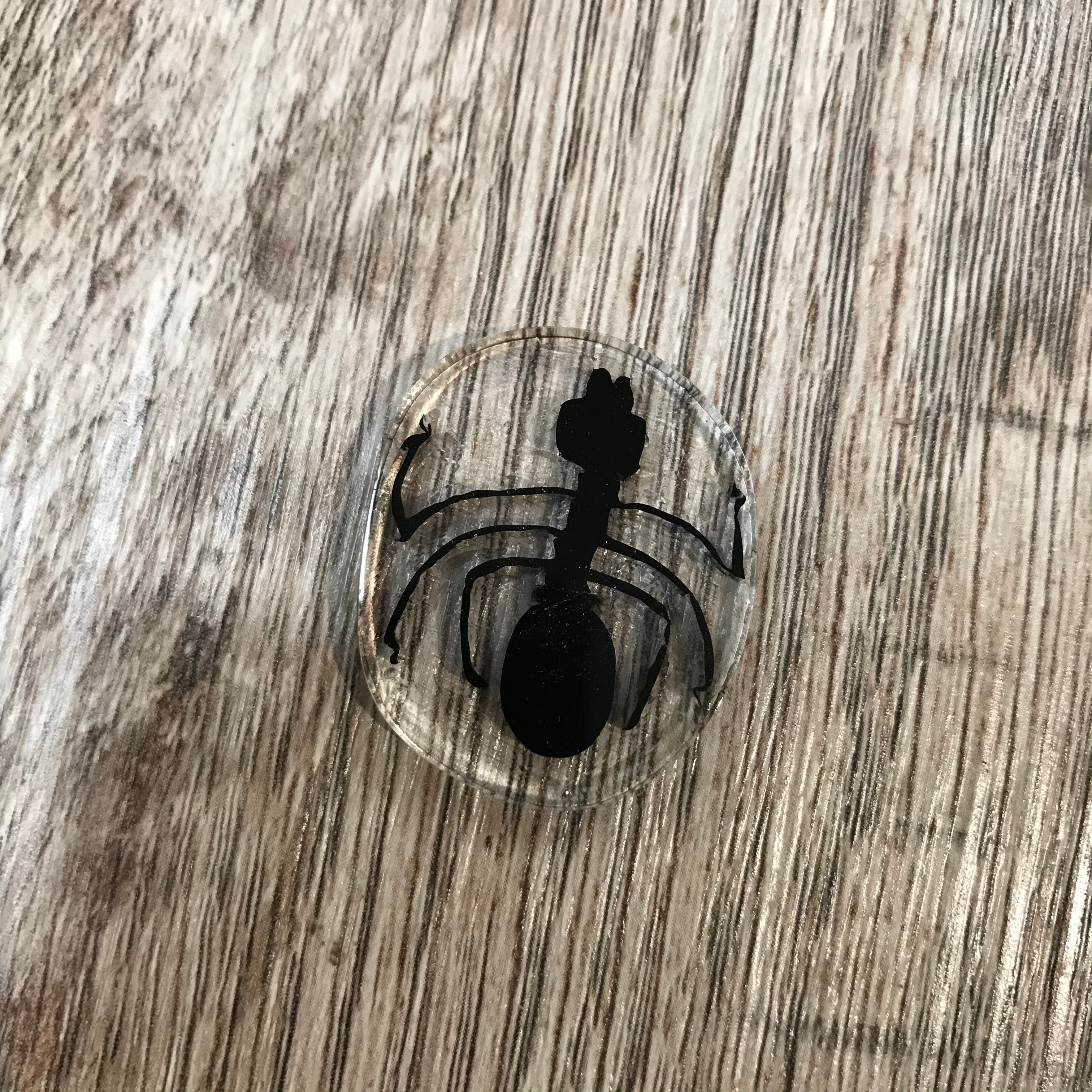 Jes Durfee Polished Millefiori Coins