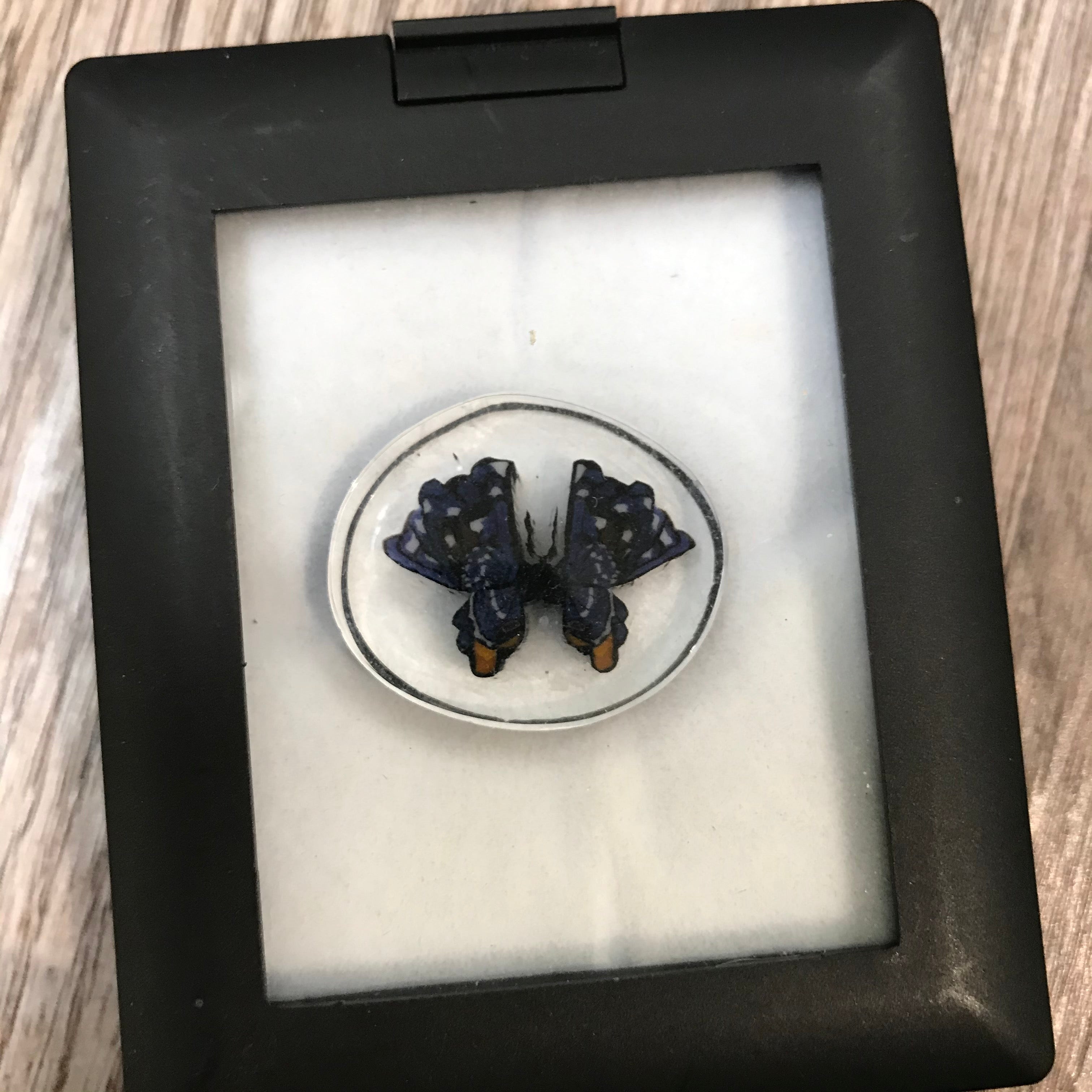 Jes Durfee Polished Millefiori Coins