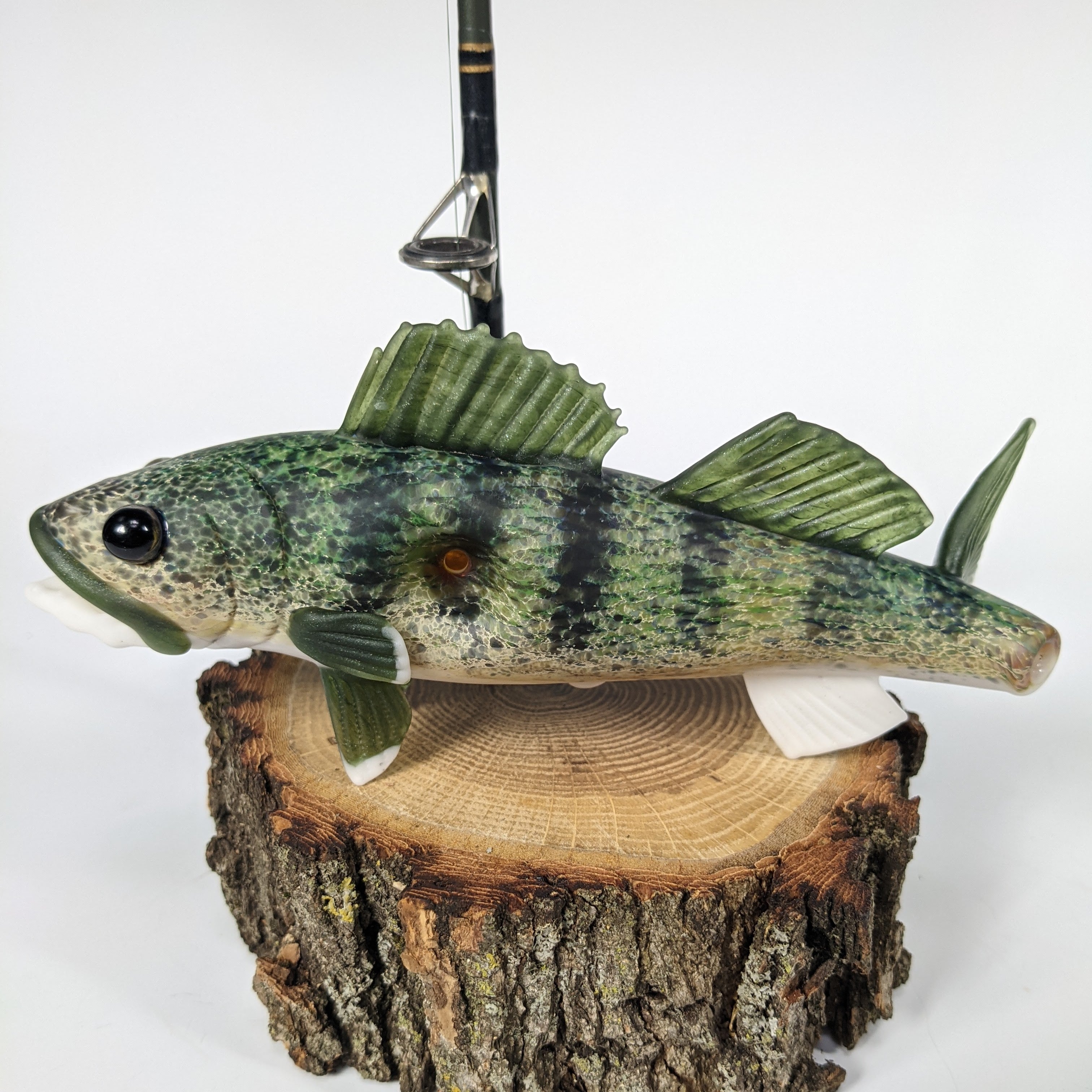 Trapper Studio Full Fish Pipe & Display