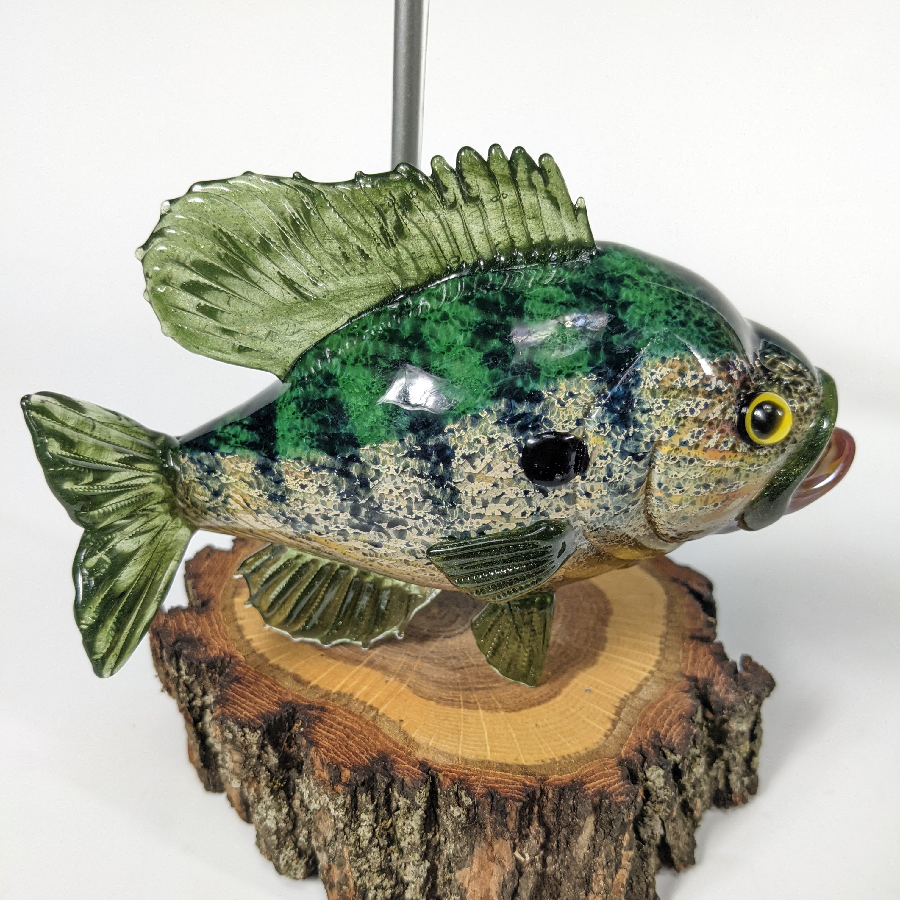Trapper Studio Full Fish Pipe & Display