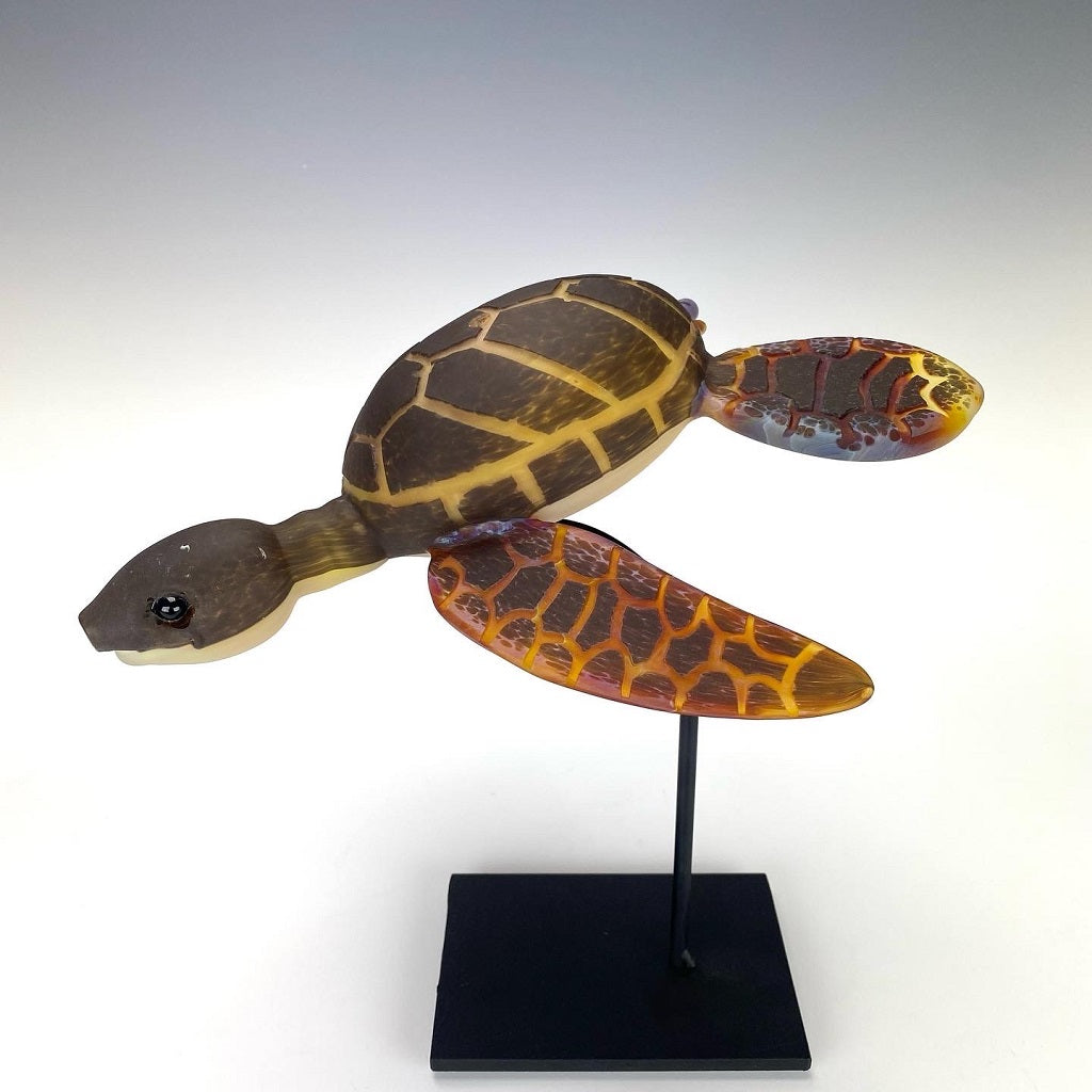 Addison Hanna Sea Turtle Rig