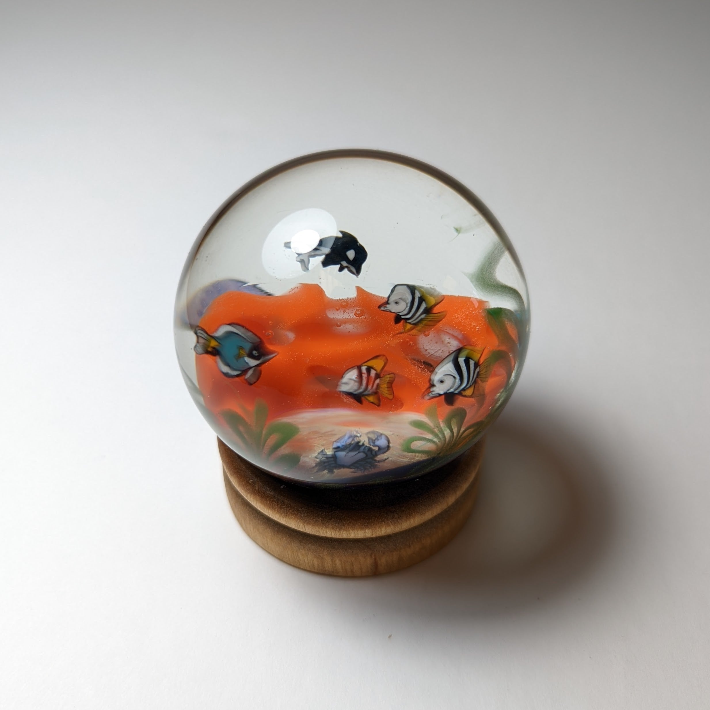 Jes Durfee Orange Coral Aquarium Marble